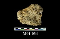 藏品(金礦)的圖片